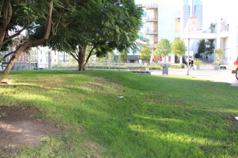 Enlarge photo 13