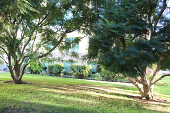 Enlarge photo 14