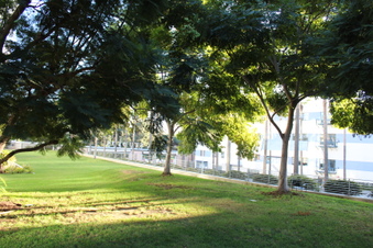 Enlarge photo 15