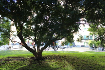 Enlarge photo 16