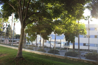 Enlarge photo 19