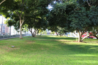 Enlarge photo 20