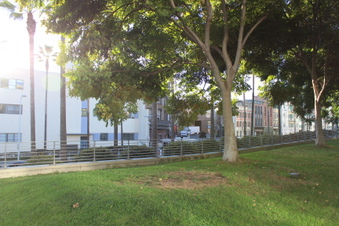 Enlarge photo 22