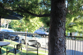 Enlarge photo 5