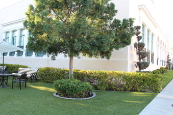 Enlarge photo 10