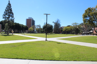 Enlarge photo 38