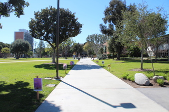 Enlarge photo 43