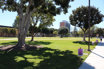 Enlarge photo 44