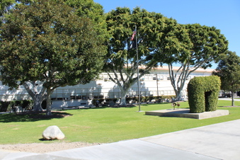 Enlarge photo 45
