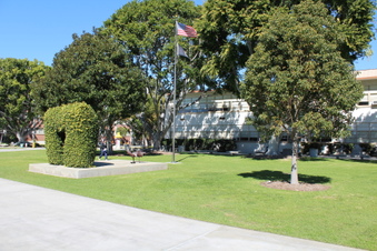 Enlarge photo 46