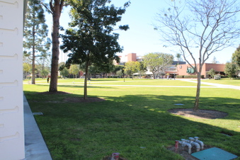 Enlarge photo 48