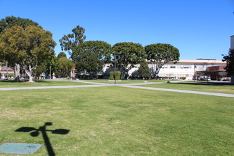 Enlarge photo 49
