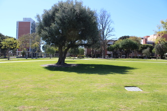 Enlarge photo 53