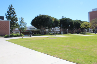 Enlarge photo 56