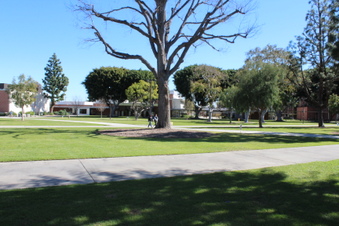 Enlarge photo 64