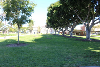 Enlarge photo 73
