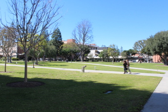 Enlarge photo 79