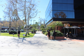 Enlarge photo 139