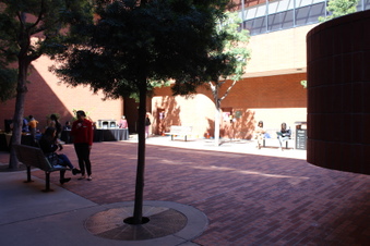 Enlarge photo 154