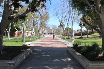 Enlarge photo 15