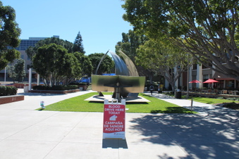 Enlarge photo 30