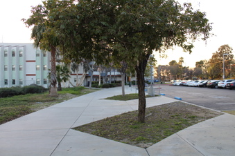 Enlarge photo 49