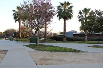 Enlarge photo 52