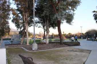 Enlarge photo 53