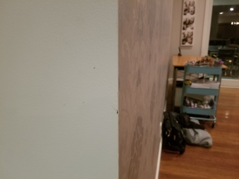 Owen's House Damages