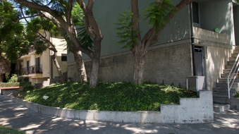 Enlarge photo 13