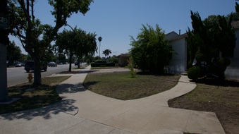 Enlarge photo 26