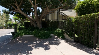 Enlarge photo 24