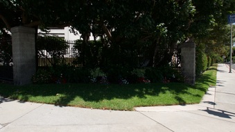 Enlarge photo 31