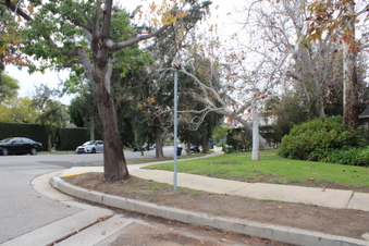 Enlarge photo 21