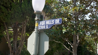 Stop Sign - Fox Hills Dr and Ilona Ave