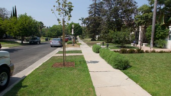 Enlarge photo 24