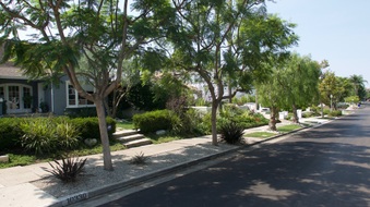 Enlarge photo 19
