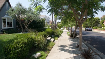 Enlarge photo 21
