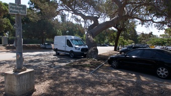Enlarge photo 36