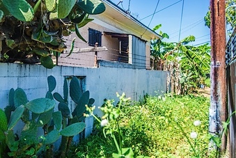 Enlarge photo 92