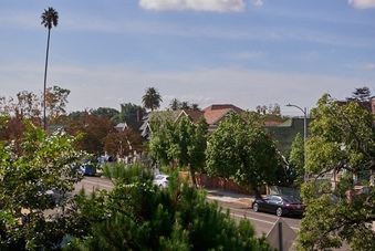 Enlarge photo 86