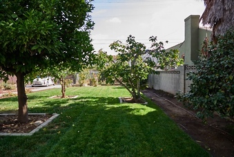 Enlarge photo 94