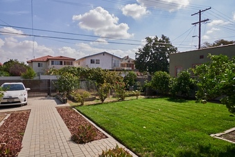 Enlarge photo 95