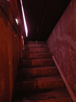 Enlarge photo 72