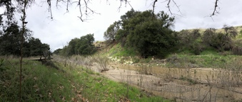 Enlarge photo 20