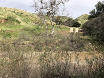 Golden Oak Ranch - February 15th 2019