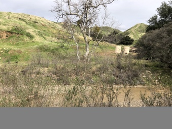 Enlarge photo 32