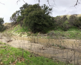 Enlarge photo 15