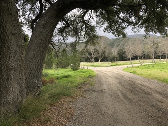 Enlarge photo 28