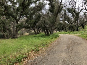 Enlarge photo 14